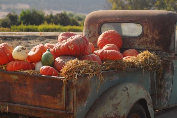 New Venue for the 2025 Frankford Autumnfest