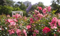 A esta hora empieza la primavera 2025 de manera oficial según el equinoccio