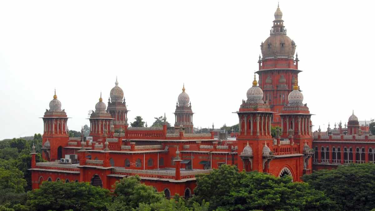 Karur stampede victim moves HC against nod to TVK to hold rallies