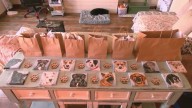 Families get dog portraits, free adoptions after dogs die in Argyle