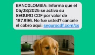 Bancolombia alerta sobre mensajes de texto falsos que buscan robar datos de clientes