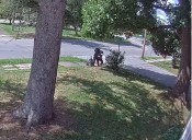 Rome, NY Man Caught on Video Abusing Dog
