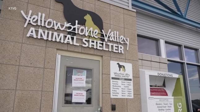 Pets evacuated after FBI uses animal shelter incinerator to destroy meth