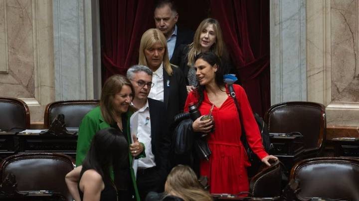 Diputados debate en vivo los vetos de Milei a la Ley Universitaria y de Emergencia Pediátrica
