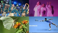 De septiembre a diciembre: 20 increíbles eventos en Cali que no se puede perder este año; atraerá turistas