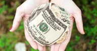 Pet-free people donate more to charity than cat and dog owners