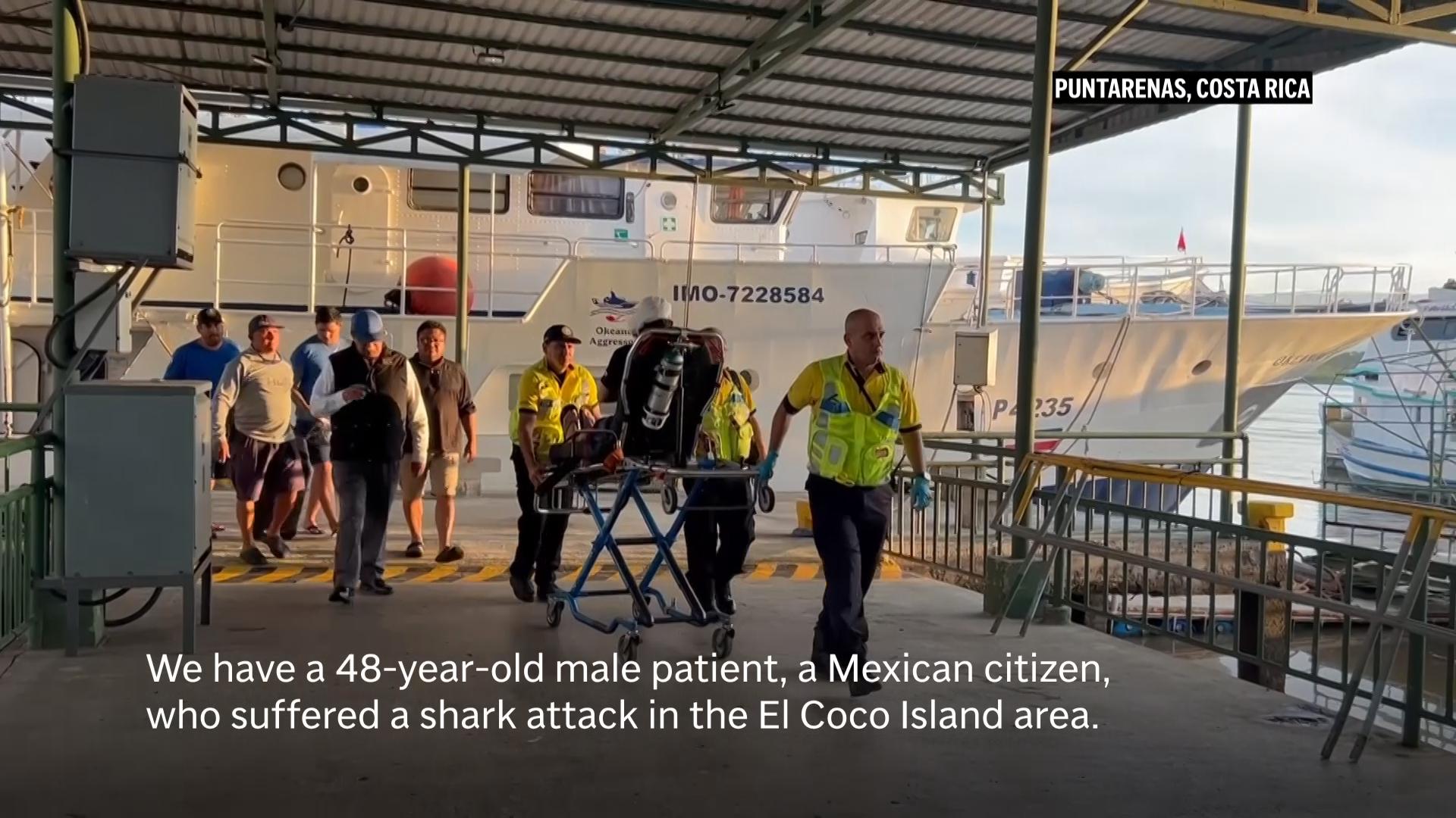 Mexican marine biologist survives shark attack in Costa Rica