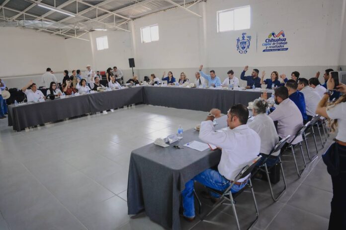 Cabildo aprueba convocatoria para renovar el Consejo Consultivo de Participación Ciudadana