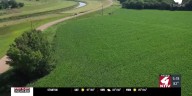 Summer rains had impact on 2025 crops in Northwest Iowa