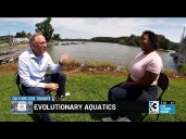 Share Charlotte on evolutionary aquatics