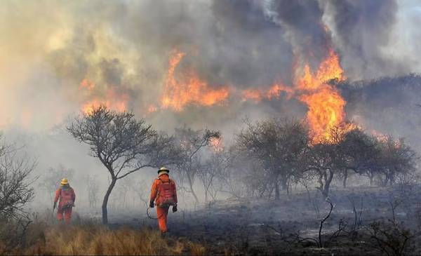 Riesgo extremo de incendios en Córdoba: "Terminalmente prohibido encender fuego"
