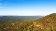 29-year-old woman dies in fall near Mogollon Rim
