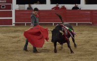 Tauromaquia y charrería se fusionan en una noche de tradición mexicana