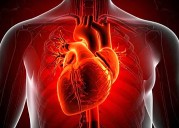 Heart diseases kill 8 people every minute in South