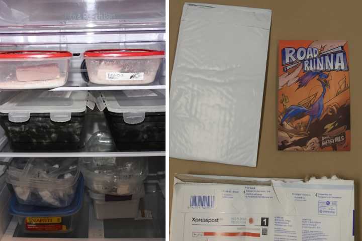 RCMP dismantle dark web drug network; 7 arrested across GTA