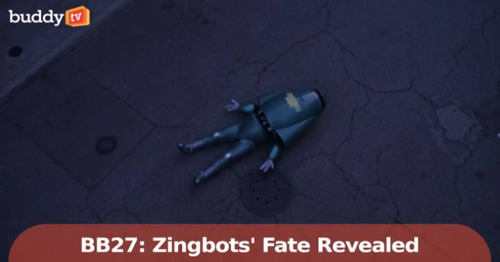 'Big Brother 27' Spoiler: ZingBots' Fate Revealed [Video]