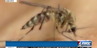 West Nile virus on the rise in Illinois