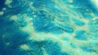 Half a century ago, the Great Barrier Reef was to be drilled for oil. It was saved