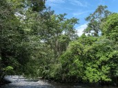 Control político a MinAmbiente, Hacienda y Dian por mercados de carbono