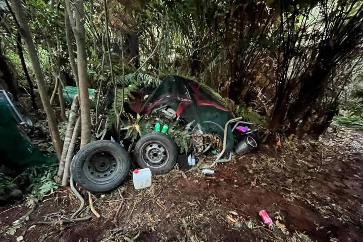 ¿Cómo logró esconderse cuatro años en el bosque el neozelandés fugado con sus 3 hijos?