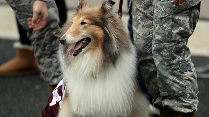 Texas A&M shares emotional update on former campus figure