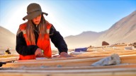 La Secretaría de Minería actualizó su base de datos: cuántos recursos tiene de litio, cobre, oro, plata y uranio