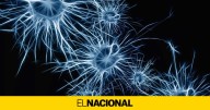 Identificadas las señales cerebrales que hacen olvidar los recuerdos desagradables