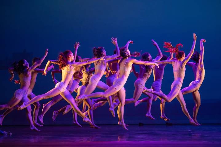 Acosta Danza: A Decade in Motion at Sadler’s Wells review: no fireworks and precious little fun