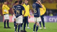 Momento de pánico en el partido entre Envigado y Millonarios: un enjambre de avispas se adueñó de la cancha por un momento
