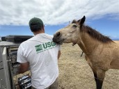 Volcano Watch: The wild job of HVO’s technicians