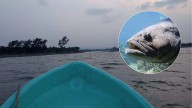 Inusual mero gigante de 115 kilos fue capturado por pescadores Las Higueras, Veracruz [Fotos]