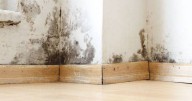Hundreds of complaints over mould and dampness in Glasgow flats