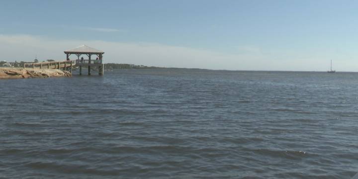 FWC hits pause on scallop season