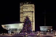 Want To See Your Tree Shine As Part Of New York's Capitol Holiday