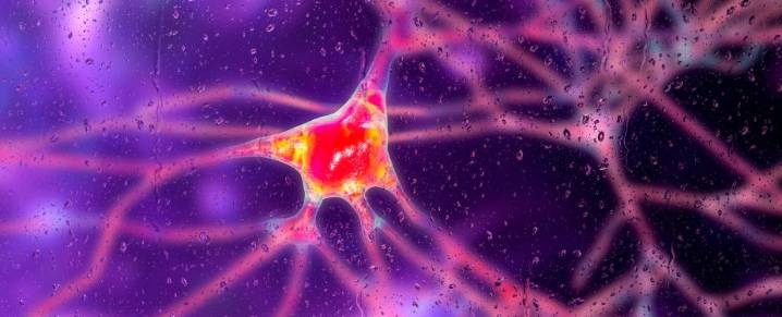 Breakthrough Gene Therapy Slows Huntington's Disease by 75%