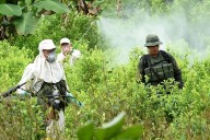 proyectos sociales y productivos para transformar Nariño