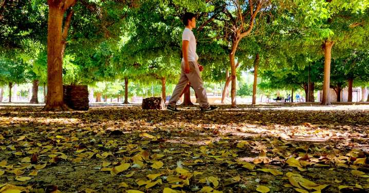 Otoño 2025: qué es el equinoccio, cuándo ocurre y qué señales observar