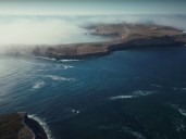 La increíble historia del bosque olvidado: así salvó California su arrecife de algas marinas