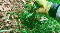Este es uno de los trabajos clave para hacer en tu jardín en septiembre: es arduo pero ni los expertos se escapan de ello