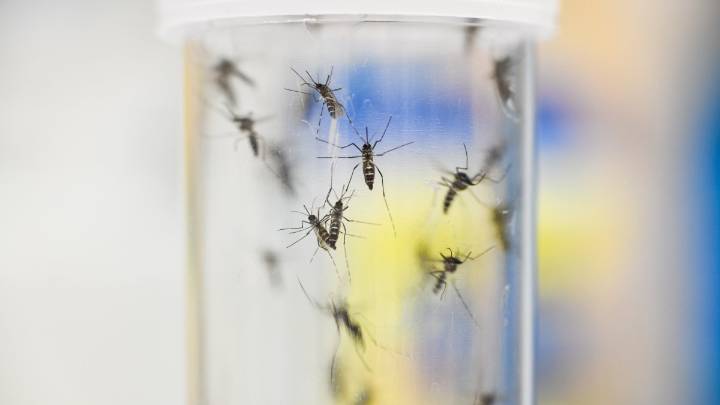Latest 2025 West Nile virus cases announced in Mass.