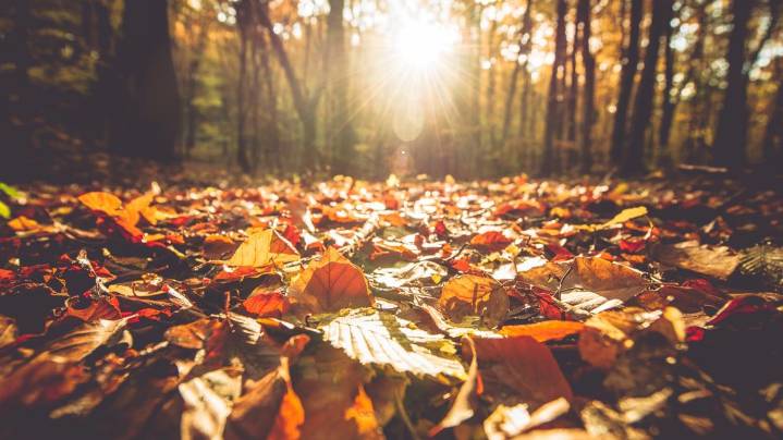 When is the first day of fall?