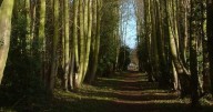‘Friendly’ town home to UK’s oldest pub and haunted railway line under an hour from Cambs