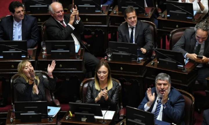 El Senado bloqueó el veto de Milei y dejó firme la ley de emergencia en Discapacidad