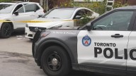 Toronto family works together to fight off men attempting to steal their car