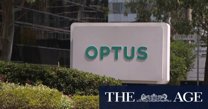 Optus CEO 'must fall on his sword'