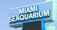 Miami Seaquarium to close as developer plans marina, restaurants