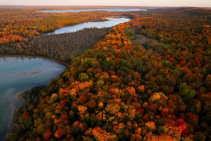 Michigan fall colors 2025: See best county roads for scenic drives