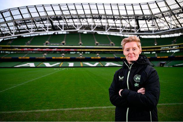 Oireachtas sport committee invites former Ireland manager Eileen Gleeson to give evidence alongside FAI bosses
