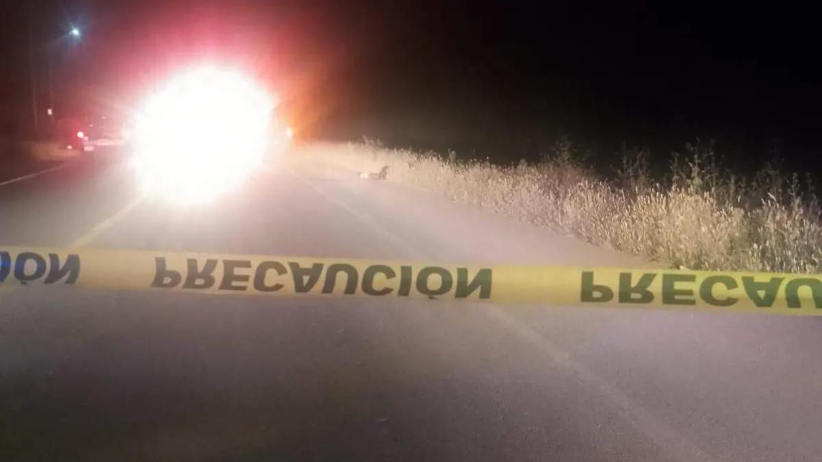 Localizan a hombre sin vida con impactos de bala en Purísima del Rincón
