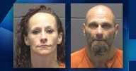Duo caught burglarizing residence in Gibson County, deputies say